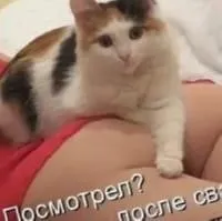 Novaya-Bukhtarma erotic-massage